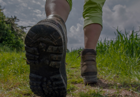 Walking through grass