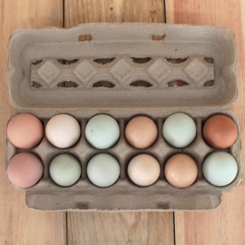 Huevos de Gallina Criolla