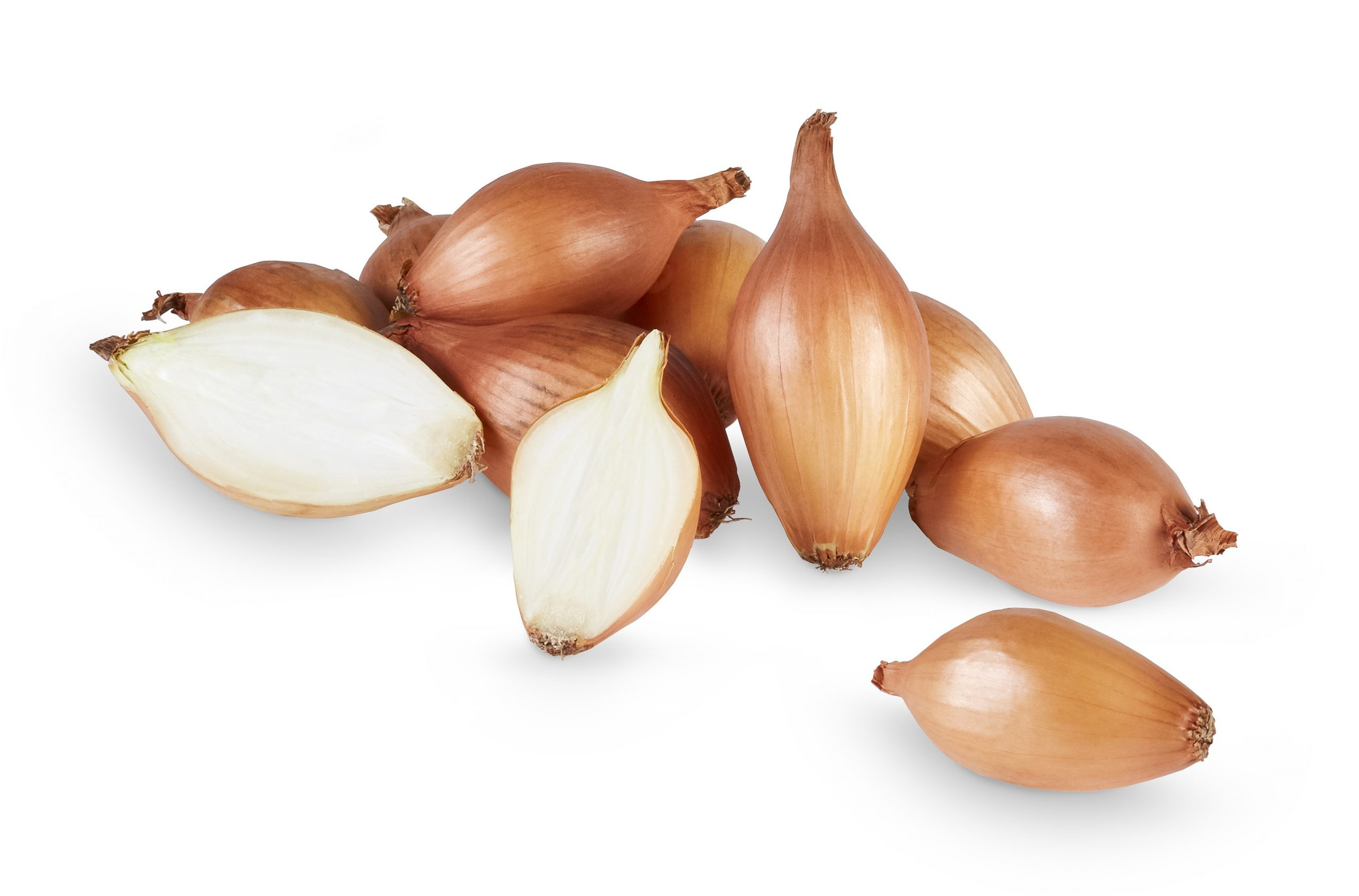 Cebolla Perla