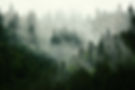 AdobeStock_167720496.jpeg
