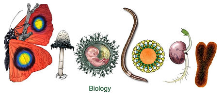 Biologypic_edited.jpg