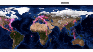 migrationgif.gif
