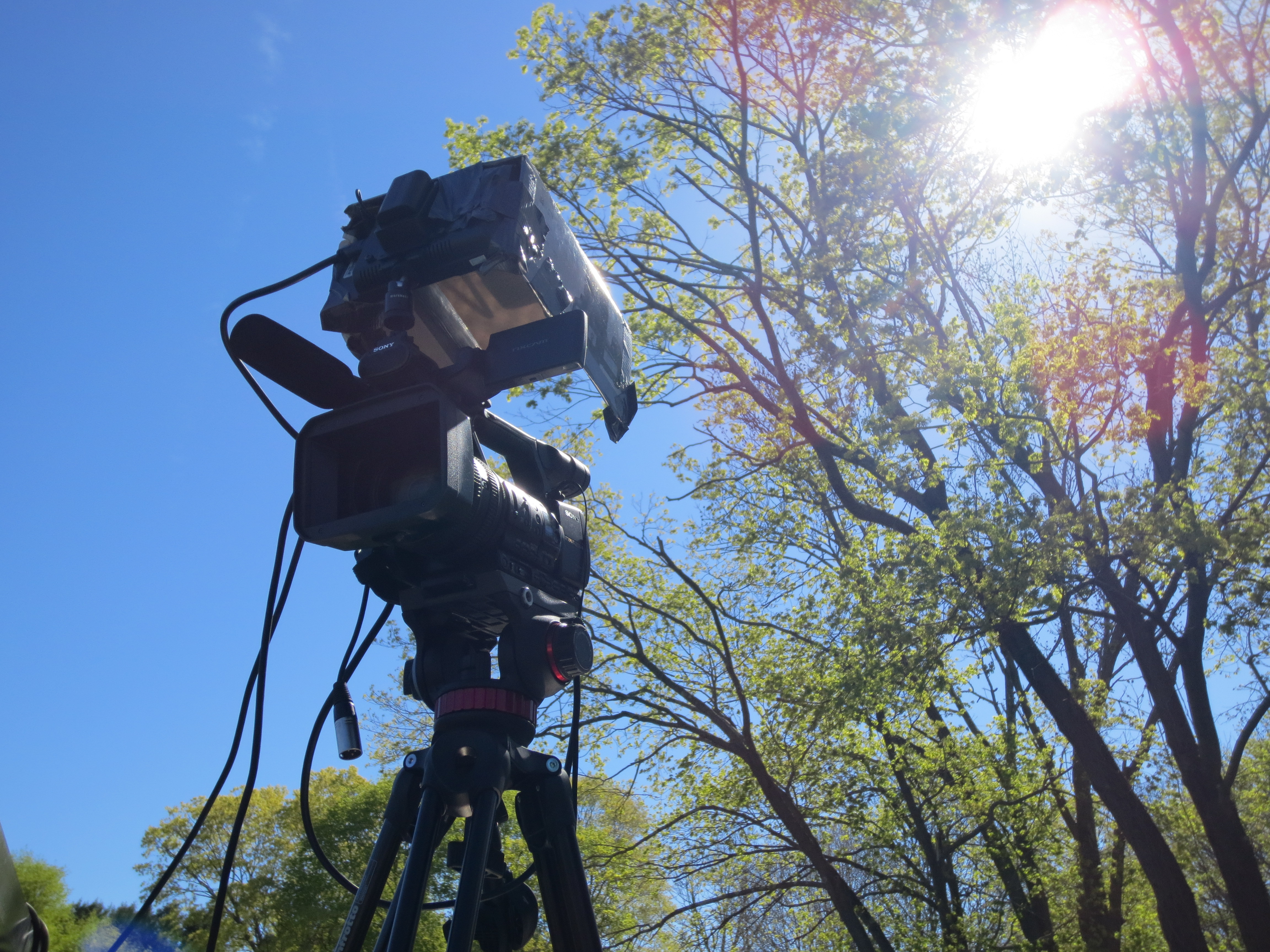 Walpole Media