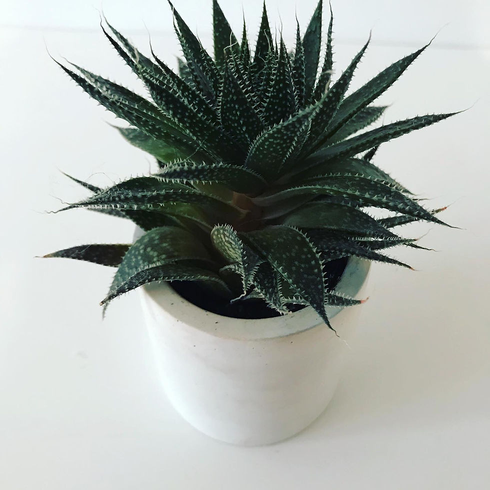 Thumbnail: Tall Circle Pot