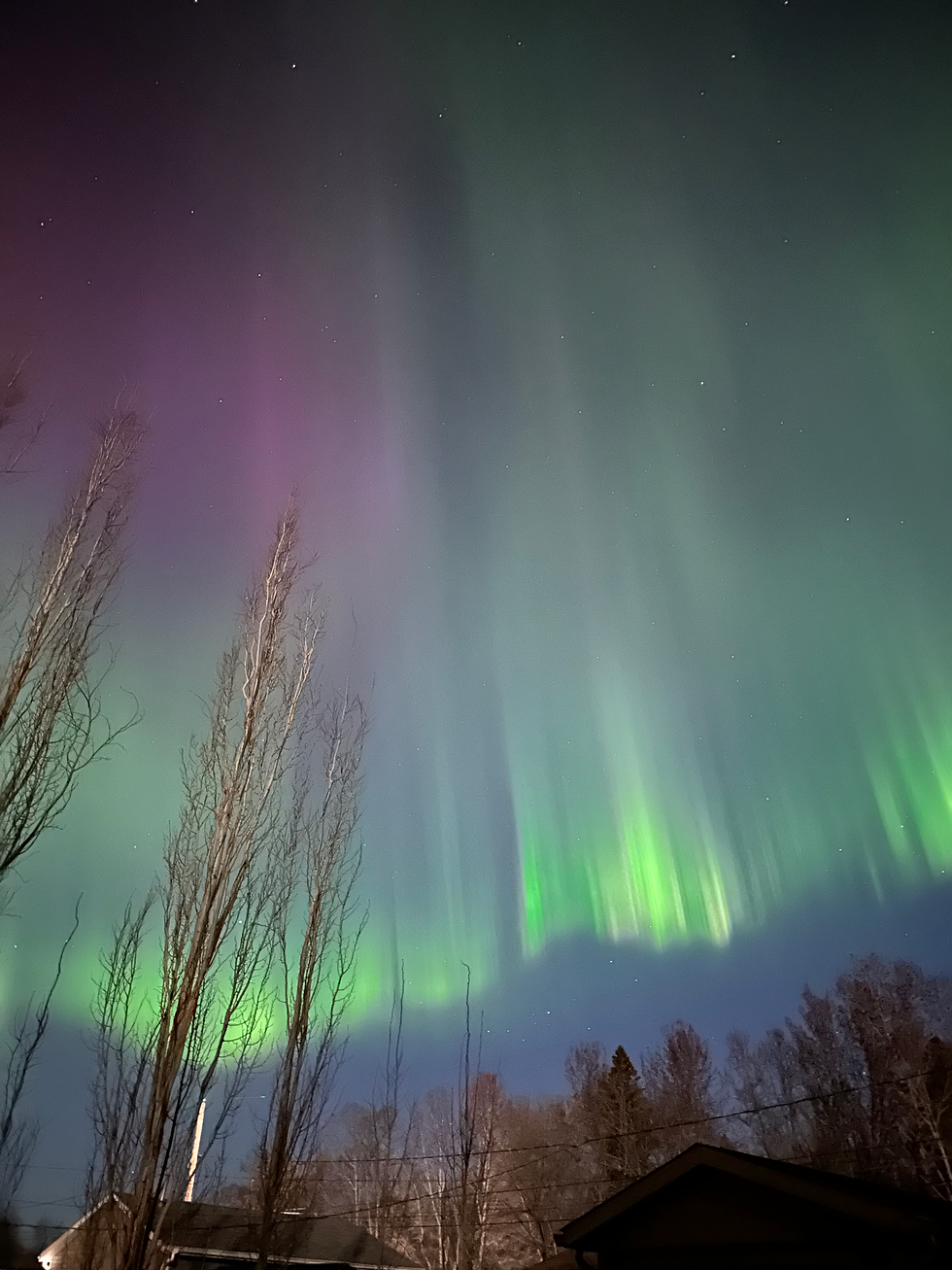 Northern Lights seen from my backyard.