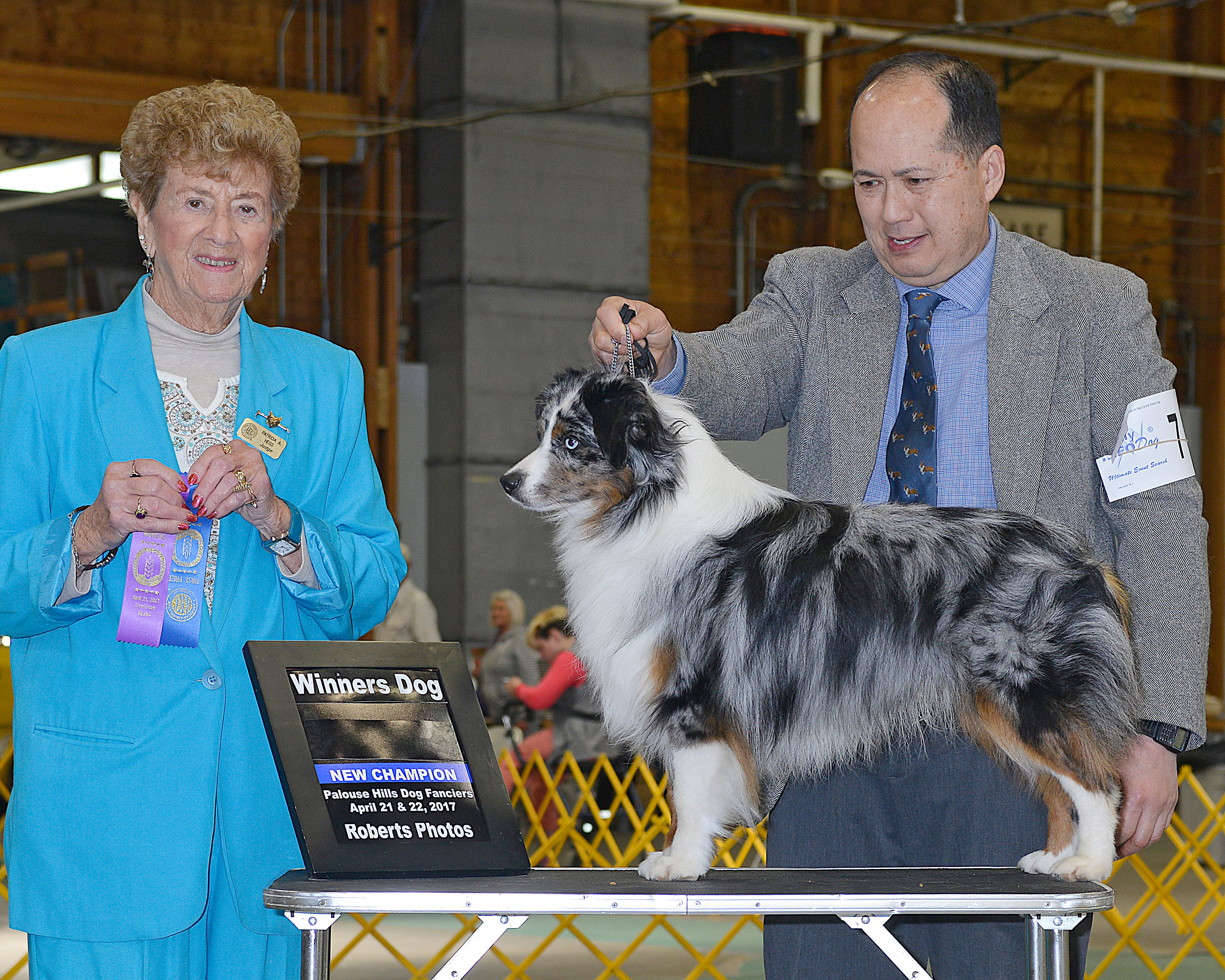 Levi AKC April 2017