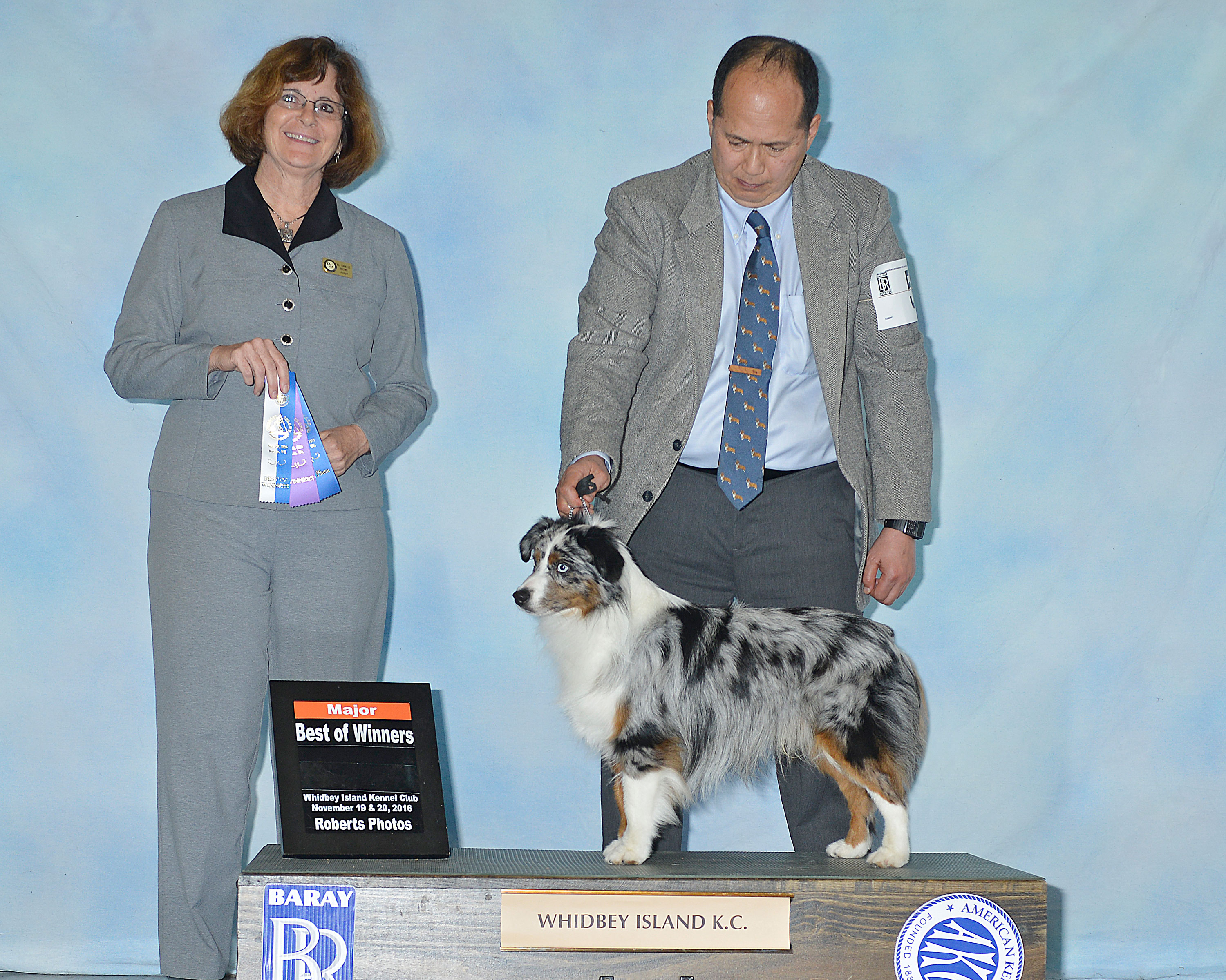 Levi AKC win photo Nov 2016