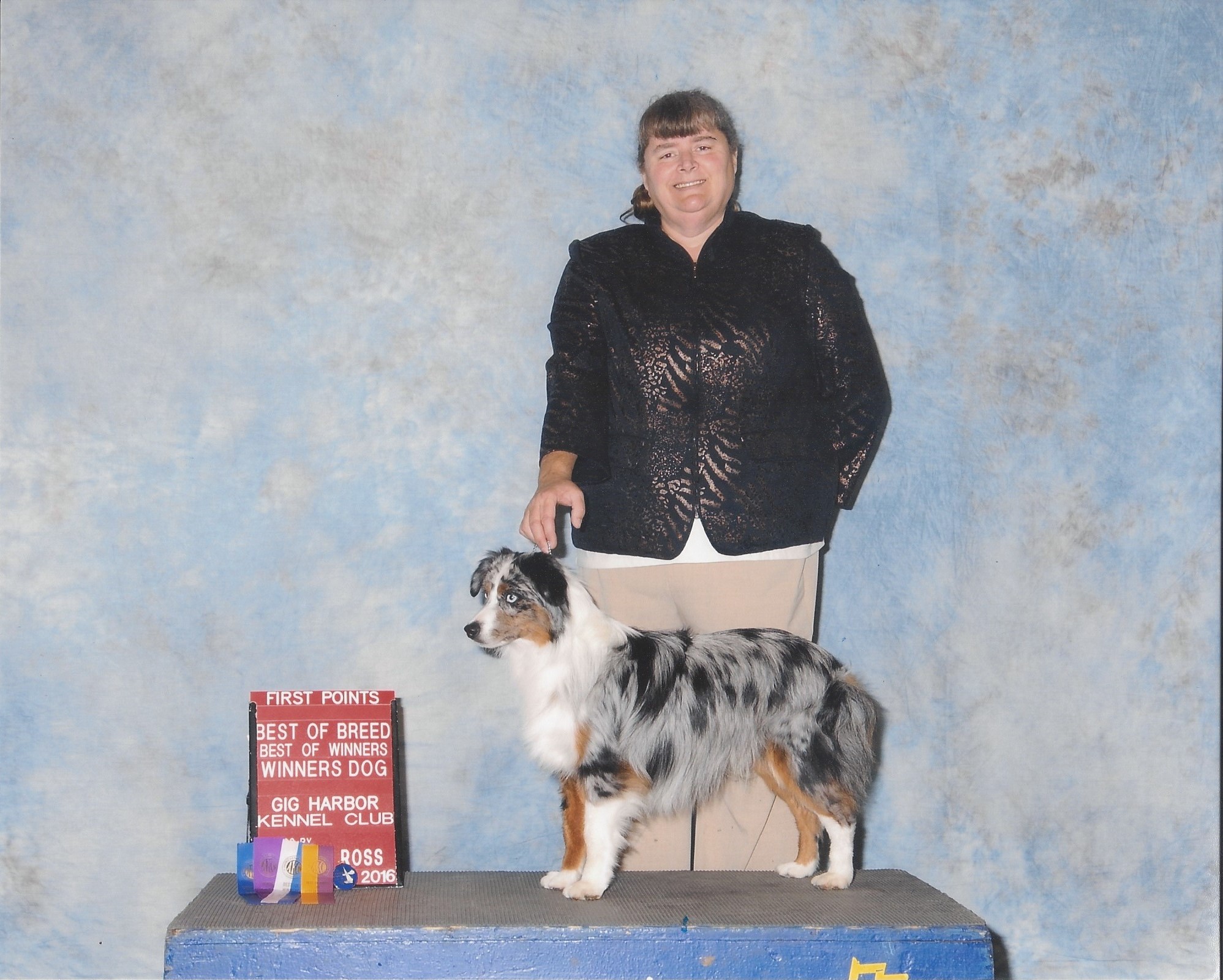 Levi AKC Gig Harbor Oct 2016