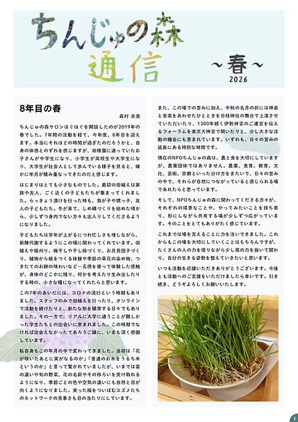 p1.jpg