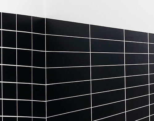 AN ORGANIC DIALOGUE,
INTERVIEW WITH LUCIANA BRITO