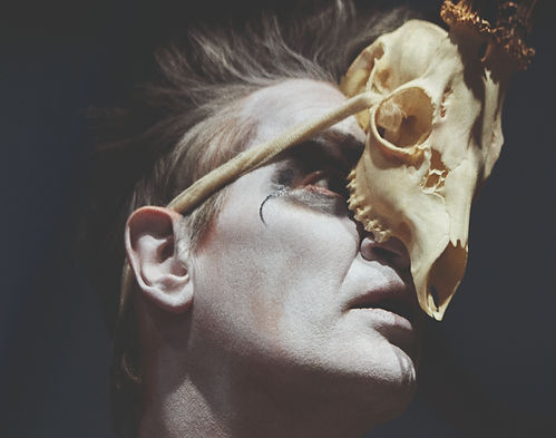 A JOURNEY INTO THE MIND