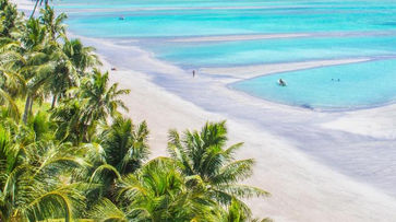 entretenimento uma vista de uma praia do topo de uma praia arborizada. POUSADA OLHO D'ÁGUA