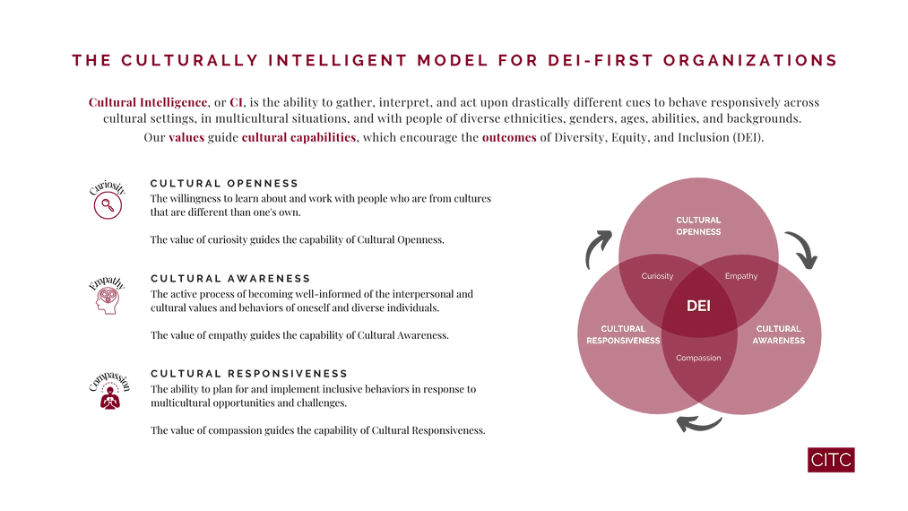 CITC CI to DEI Values, Capabilities, Outcomes (1).png