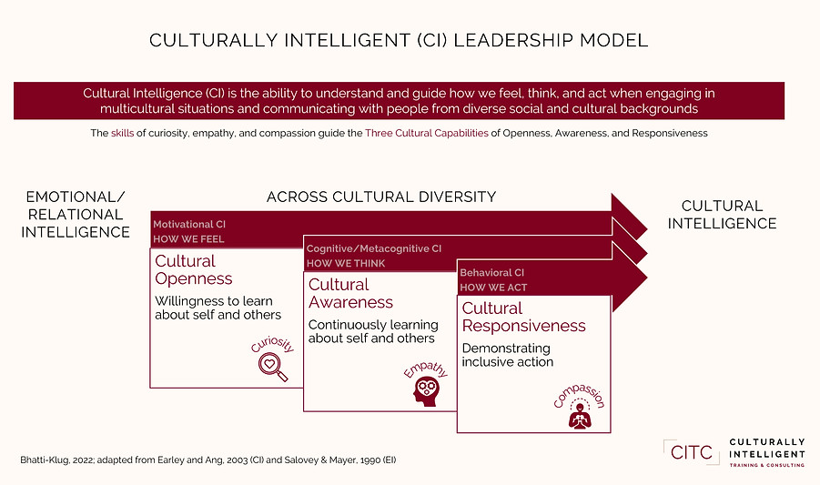 CITC CI Leadership Model 2025_edited.jpg