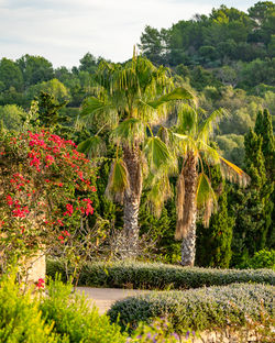 Mediterrane Lebensart