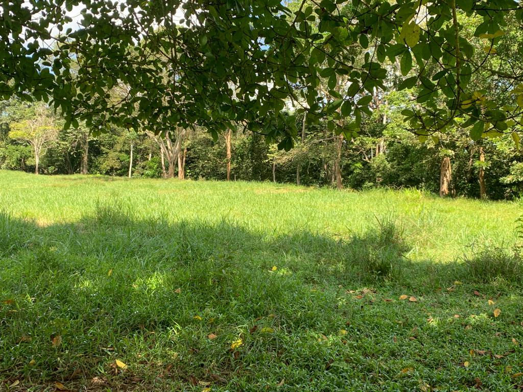 Venpermuta finca en Puerto Boyacá 120 hectáreas