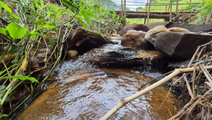Projeto ambiental investe R$ 8 milhões e fortalece segurança hídrica na região