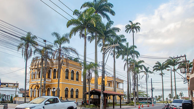 Inscrições para Encontro de Arborização terminam nesta sexta, 28