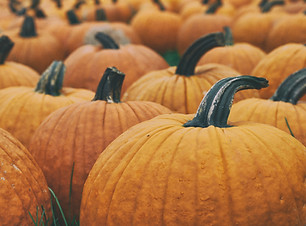 Pumpkins
