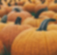 Pumpkins