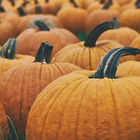 Pumpkins