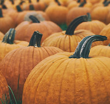 Pumpkins