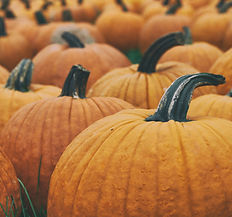 Pumpkins
