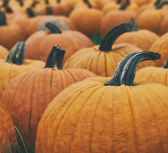 Pumpkins