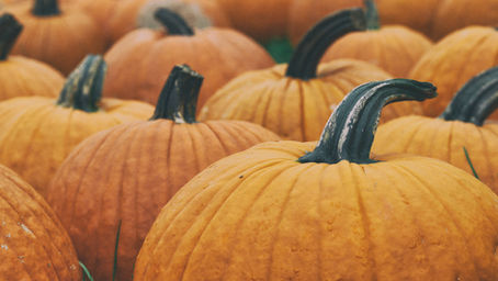 Fall Festivals You Can't Miss in Ohio