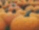 Pumpkins