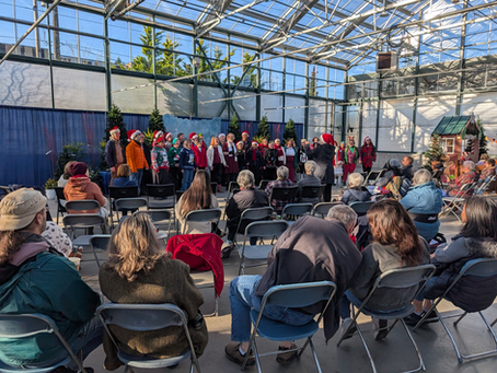 Singout at Sky Nursery