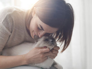 Woman kissing a fluffy cat in soft sunlight, gently holding it indoors, with a warm affectionate mood.