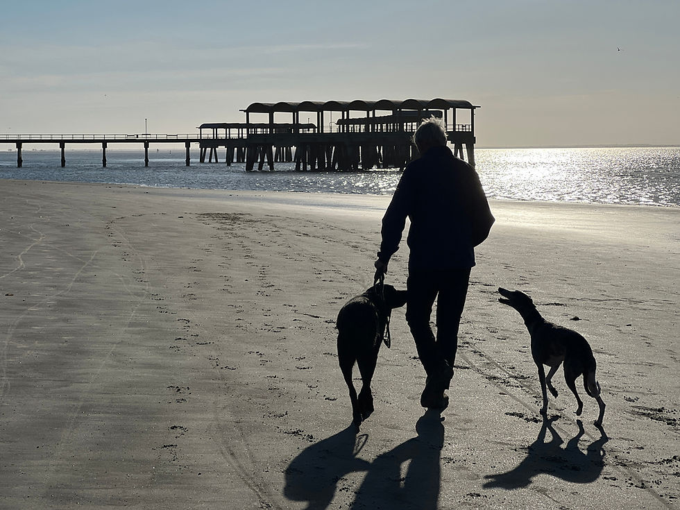 Backlit person walks two dogs on a sandy beach beside a pier, with shimmering water and long shadows.