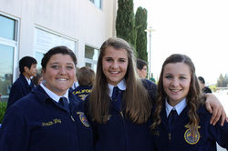 001 (1024x683) (2).jpg