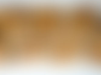 Dopamine & Serotonin: The Neurochemistry of Attaining Your Fitness Goals