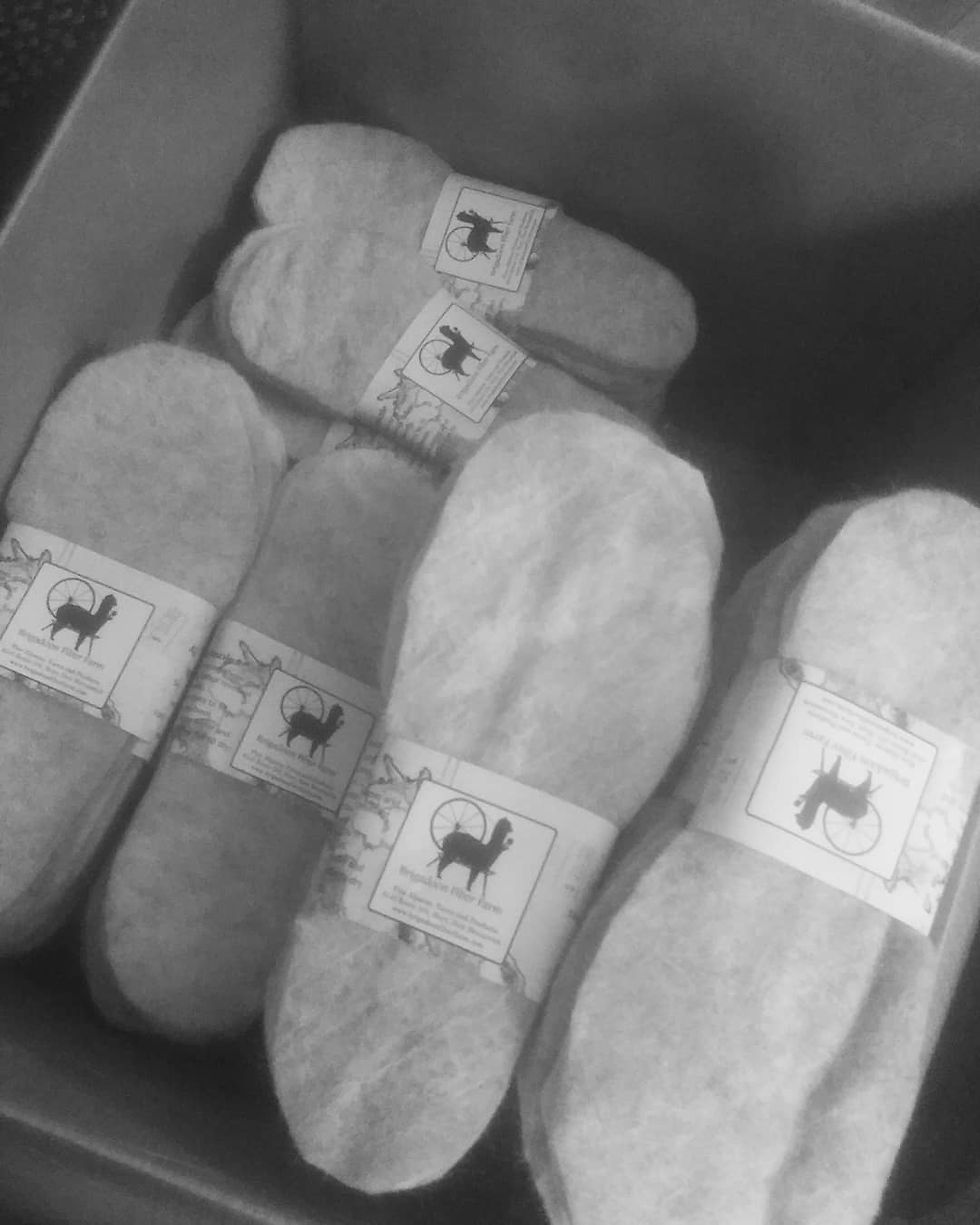 Alpaca Insoles