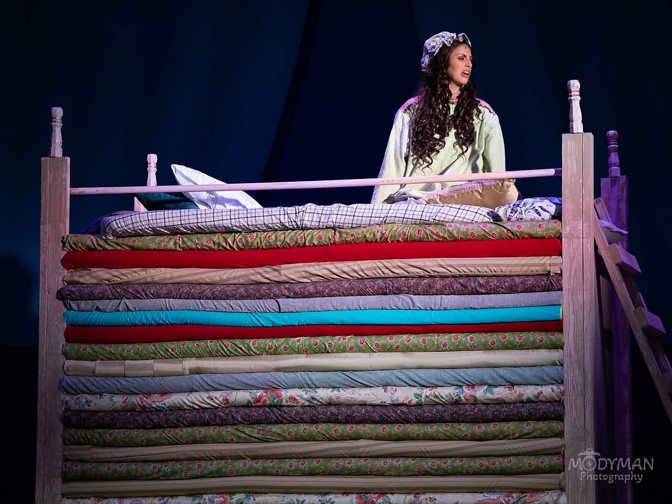 Once Upon a Mattress