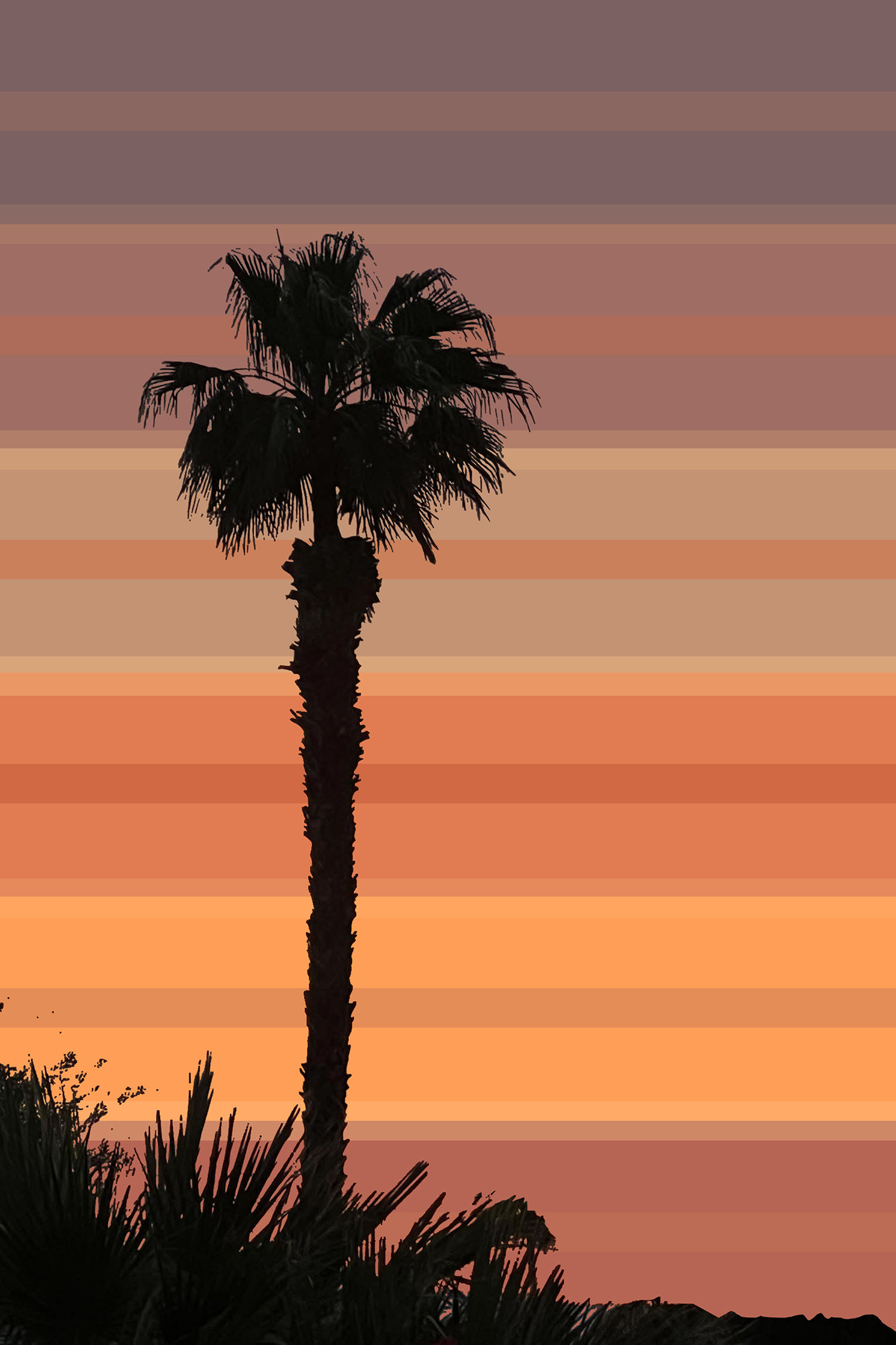California Cool