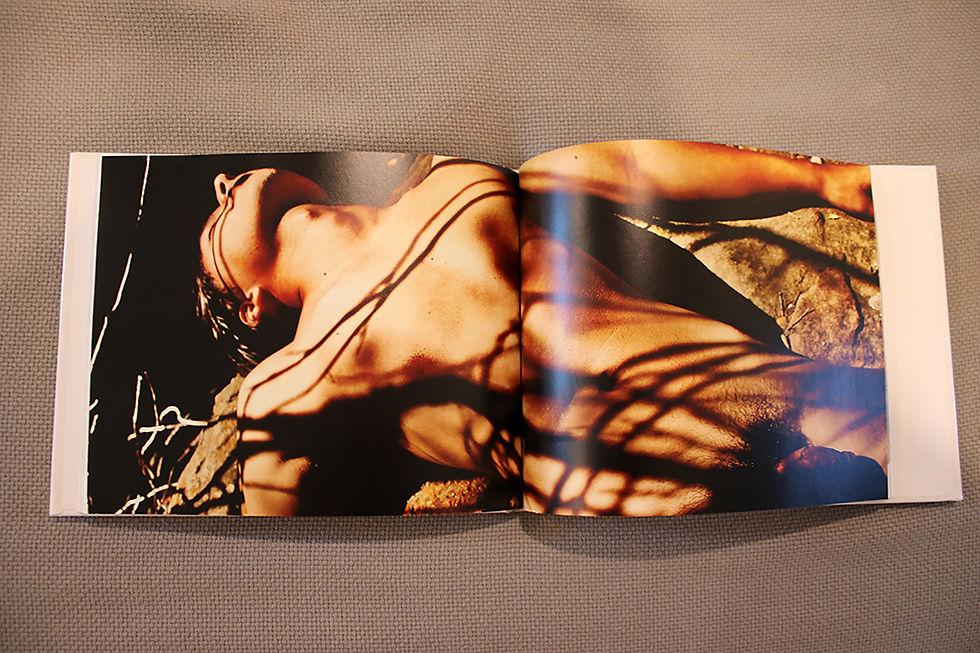 Thumbnail: Earth - Hardcover Book