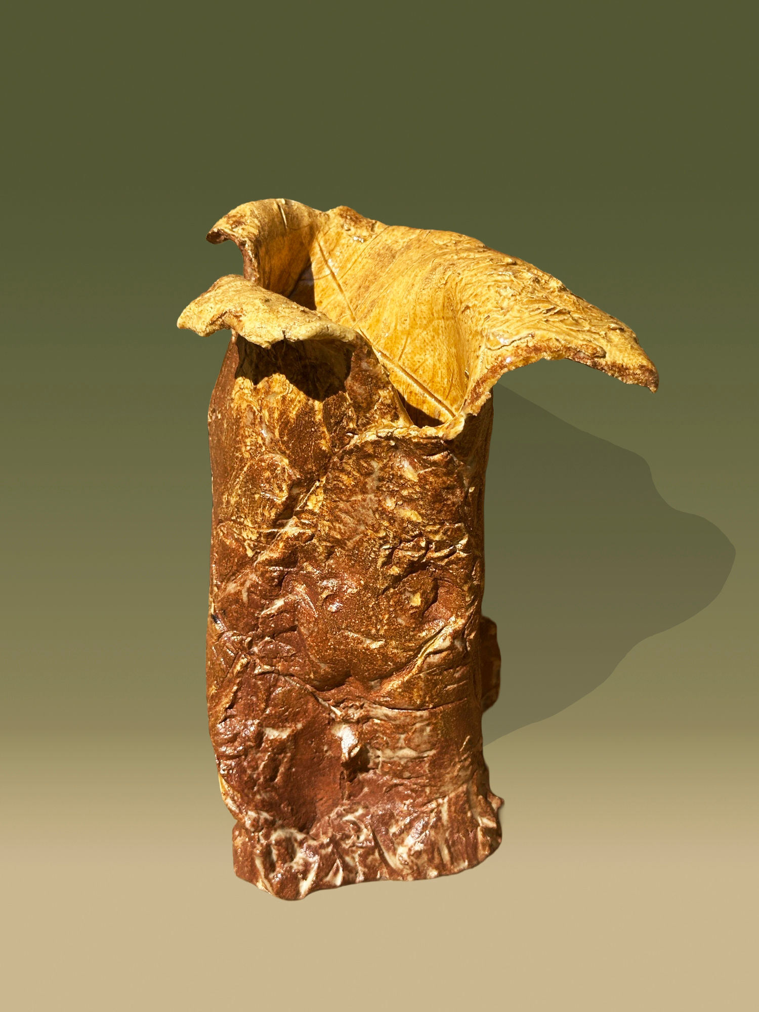 Carniflora Aureus - 7x6x4 - $90