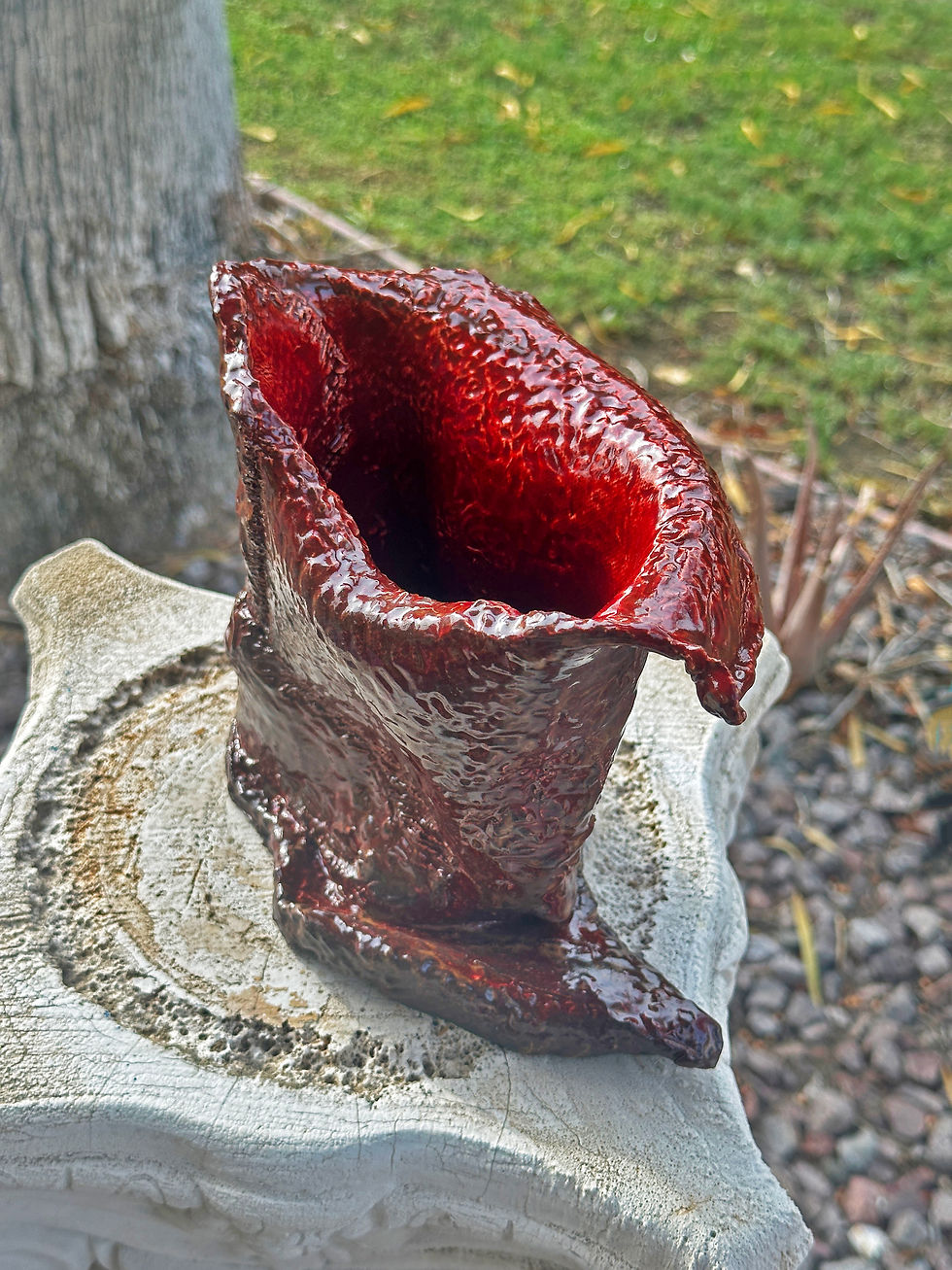 Thumbnail: Ruby Throated Carniflora - 8x6x5 - $90