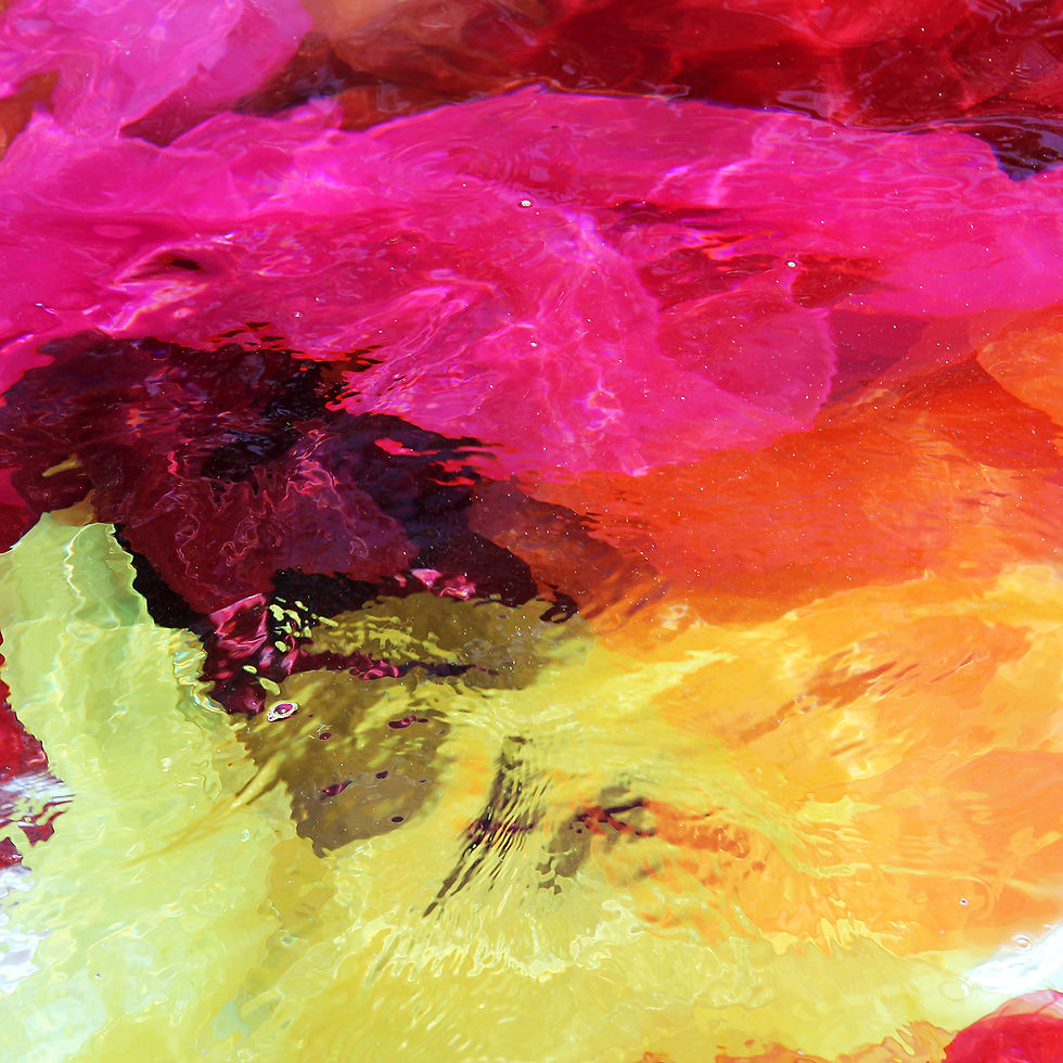 Thumbnail: Rhapsody in Fuchsia Triptych