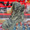 Thumbnail: Tactical Camo Delta Boots