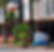 Screenshot 2024-08-16 11.29.27 AM.png