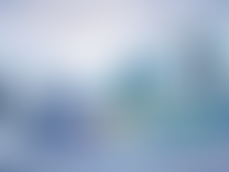 Internal Side of Public Affairs – 73 AI and Public Affairs Process-Structure