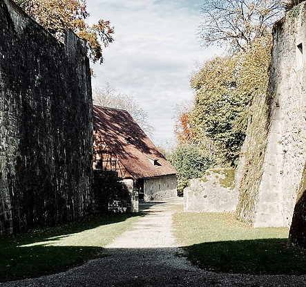 Neugierig_08.jpg