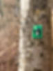 Bewegung_06.jpg