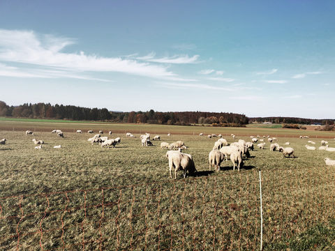 Bewegung_09.jpg