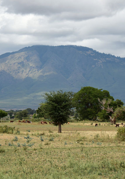 wulkaniczny krajobraz środkowej Etiopii