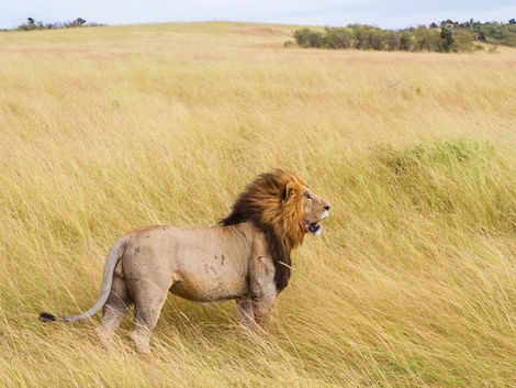 Wednesday in the Word